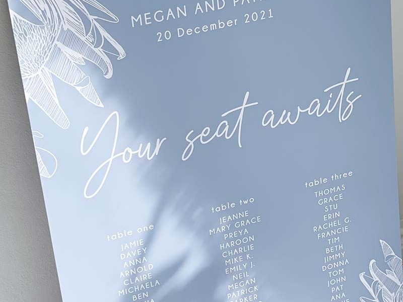 Megan and Patrick seating plan