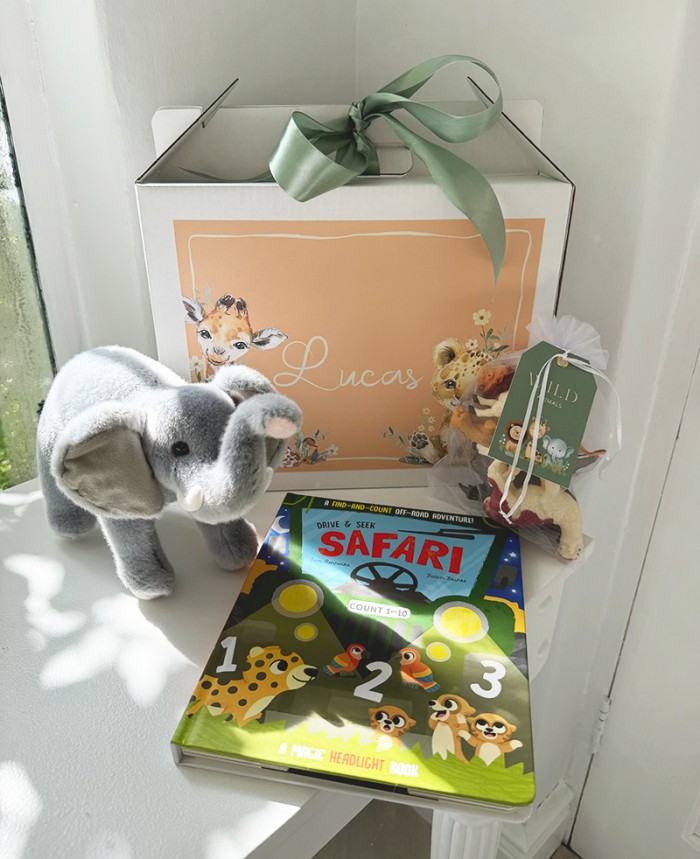 Safari themed kids activity boxes - Age 3