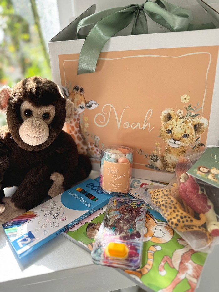 Sofie Nelis-Childrens gift box-Monkey